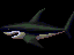 Shark (2).gif