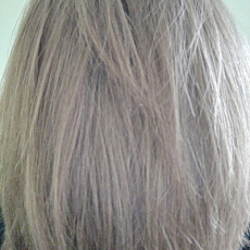 Герасимов Никита Владимирович