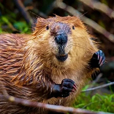 Луньков Владислав Дмитриевич